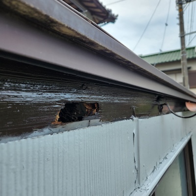 雨樋工事はいつすればいい？症状別に必要な工事やタイミングを解説